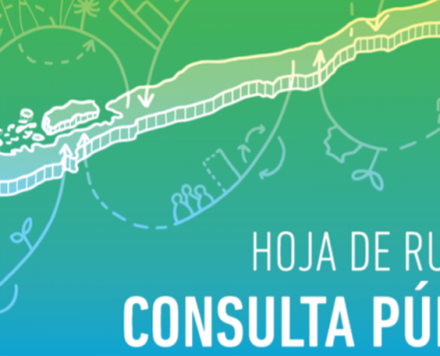 consulta publica 4