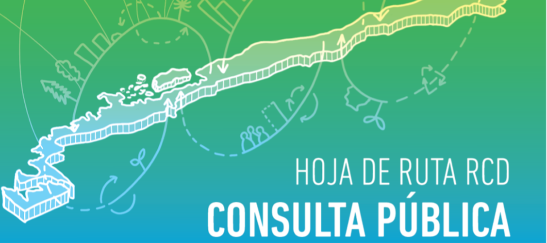 consulta publica 4