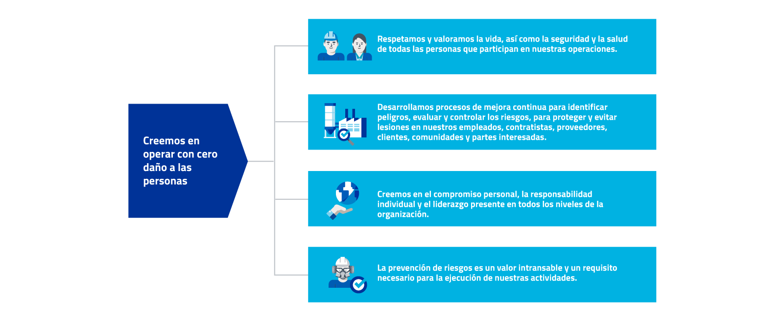 Prevención de Riesgos y Salud Ocupacional